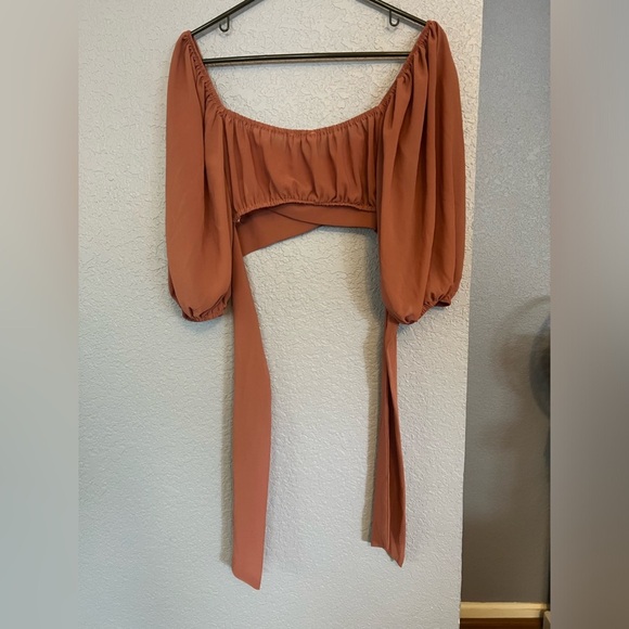 Blush BJ | Medium | Tie-Back/ Open Back | Crop Top | Bell Sleeves - Picture 2 of 10